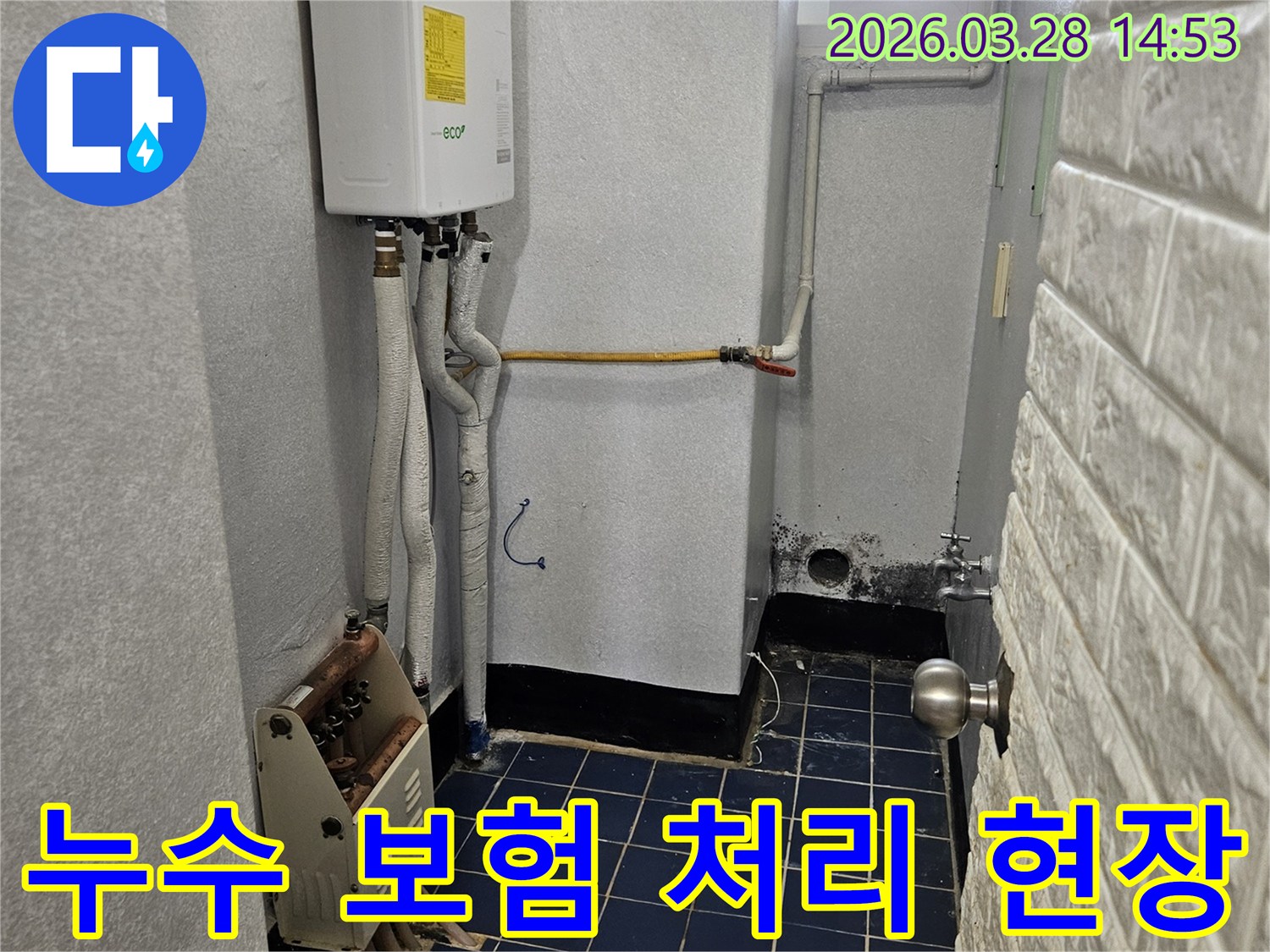 포천-일동면-주택 누수-보험 처리-상담 시공-전문가 도움