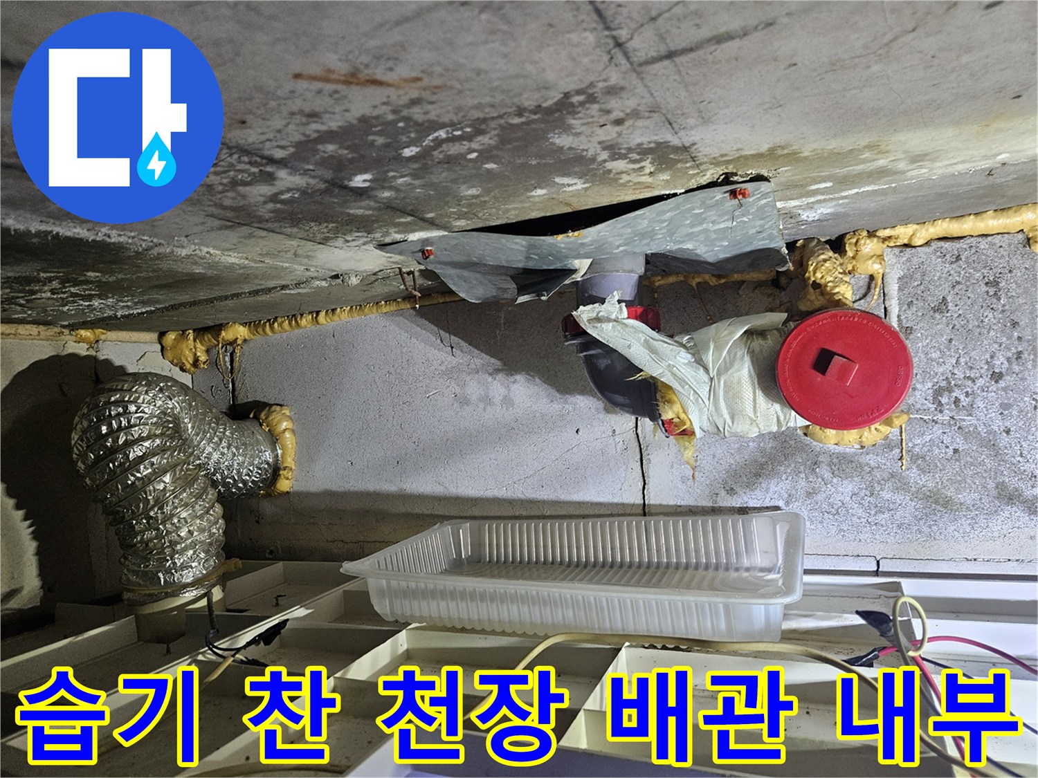 천장-내부-배관-및-젖은-콘크리트-면-상태