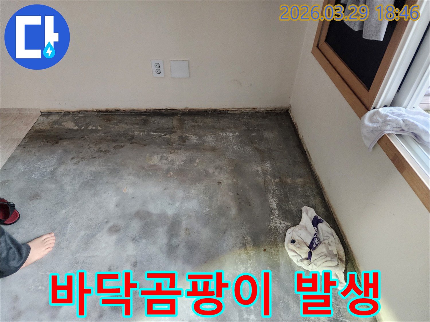 이 사진은-남양주 오남읍의 한 빌라에서-바닥과 벽면 경계에-습기와 곰팡이가-광범위하게 발생한-누수 현장을-보여주고 있습니다
