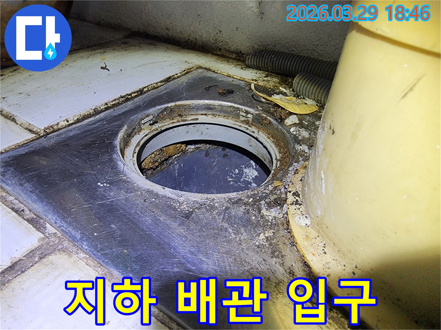 이 사진은-지하 배관 입구의-오염된 모습과-주변의-습한 환경을-보여주며-이는 누수 탐지를-위한-초기 점검 단계에서-저희 전문가가-발견한-상황입니다.