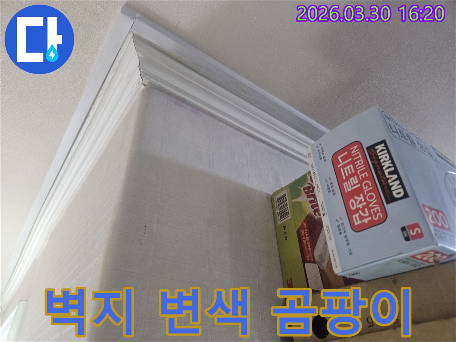 누수 엔지니어가-강남구 학동로 주택 현장에서-벽지 변색과 곰팡이를-동시에 진단하는 모습