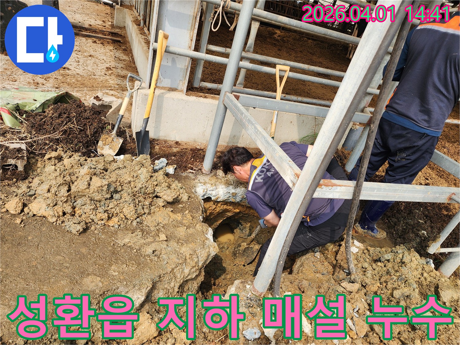 천안 성환읍에서-지하 매설 배관 누수가 발생하여-전문 엔지니어가-정확한 지점을 탐지하고-수리 작업을 진행하기 위해-땅을 파는 모습입니다.