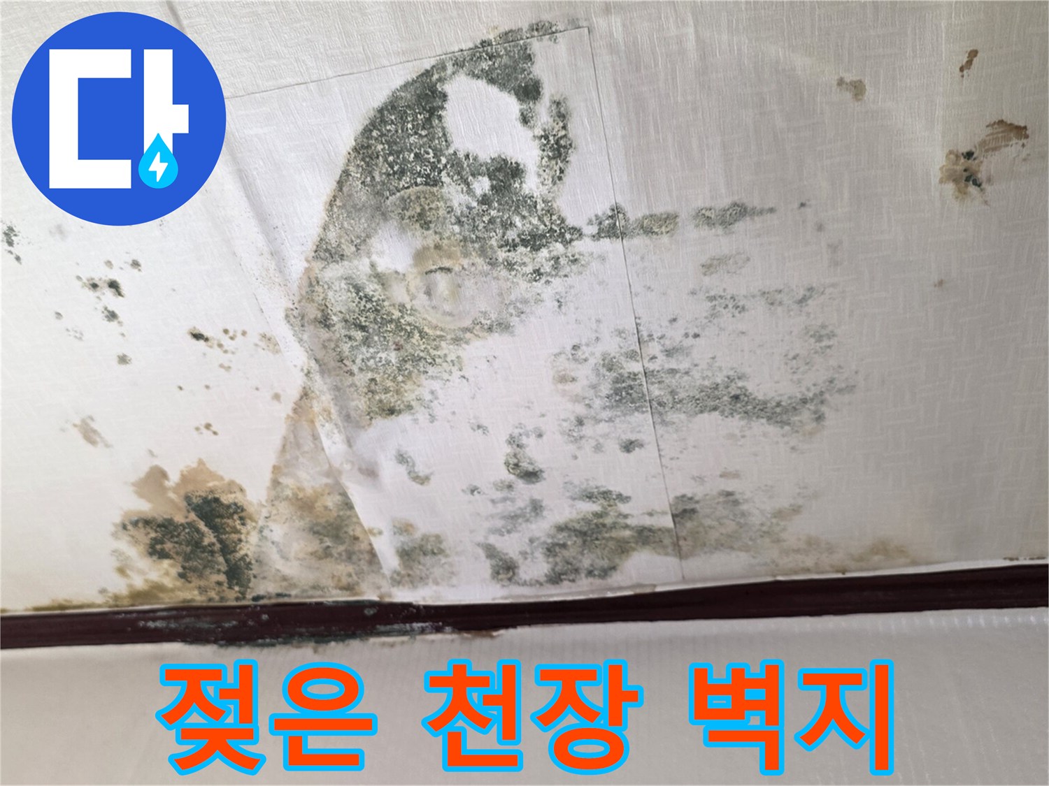 누수로-인한-천장-벽지-오염-및-곰팡이-발생-모습