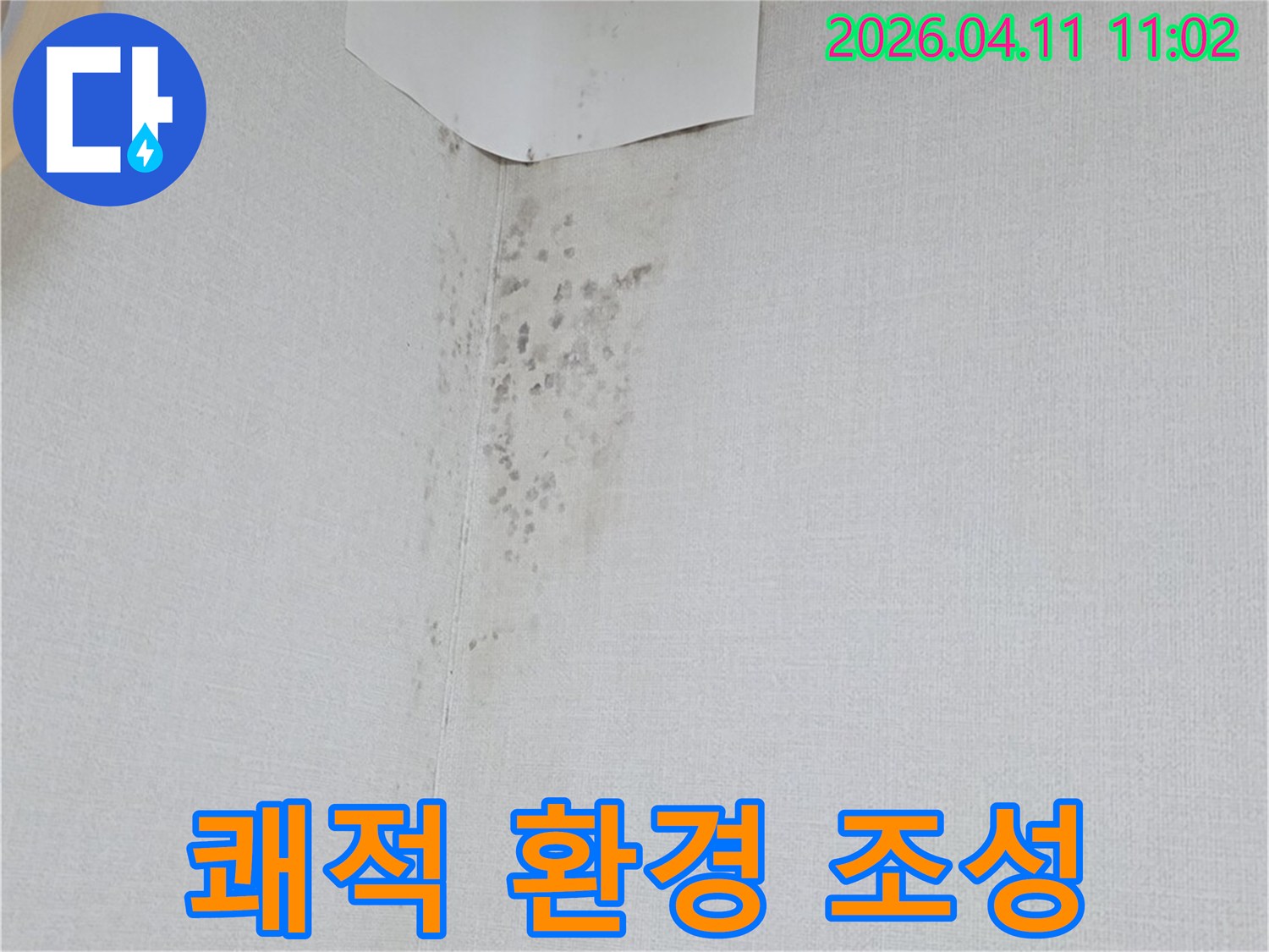 곰팡이로 오염된 벽지-누수 해결 후 쾌적한 환경 조성을 위한 작업 전 모습입니다
