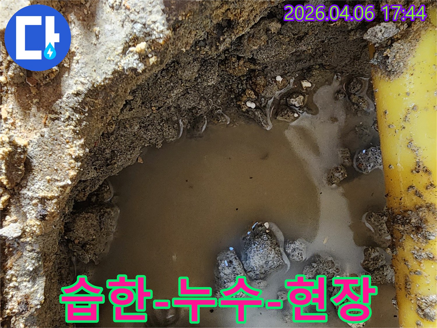 누수-탐지-전문가가-발견한-배관-파손으로-인한-물고임-현장입니다