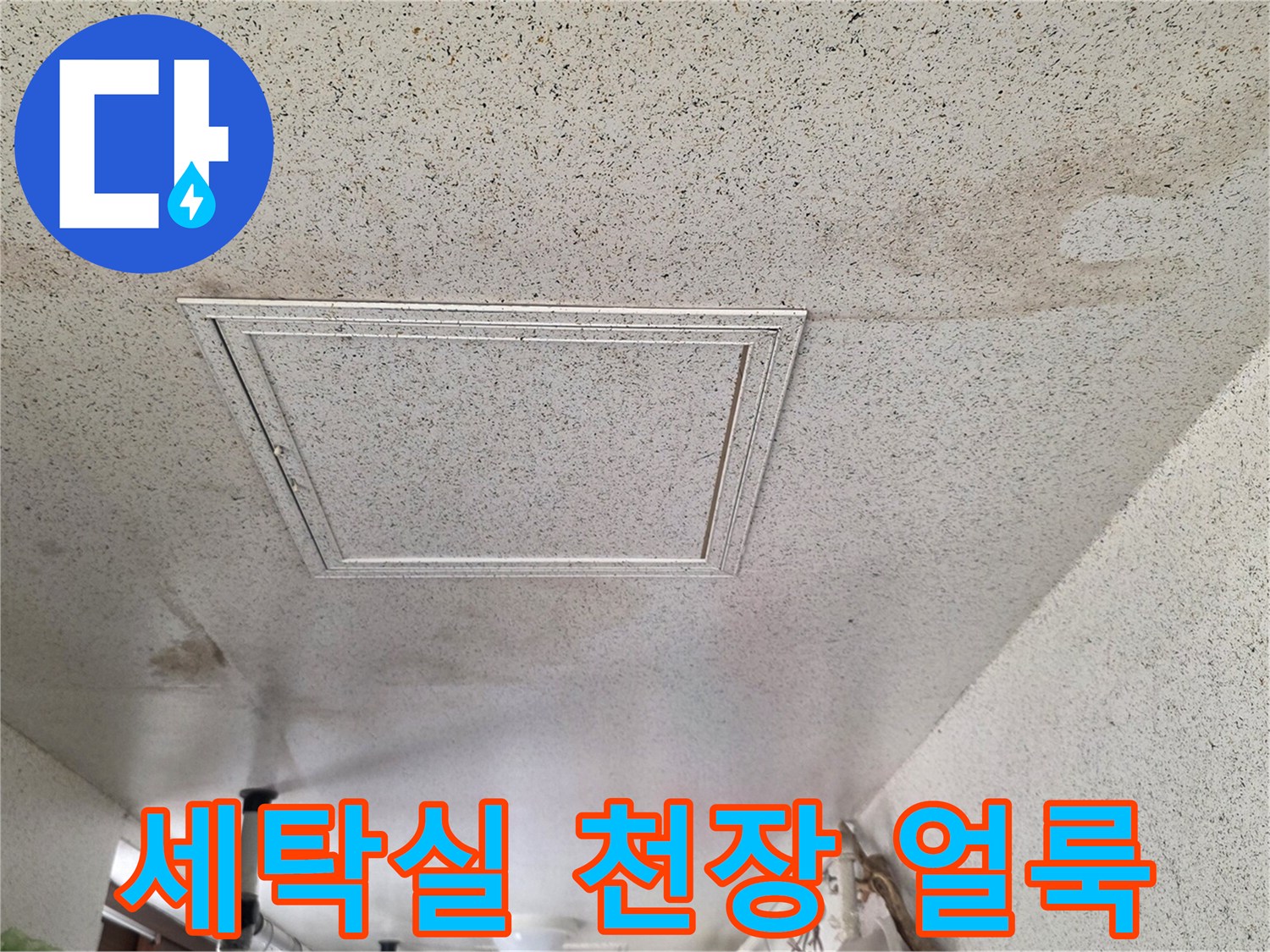 성남 중원구 세탁실 천장의 넓은 물번짐과 얼룩 현상