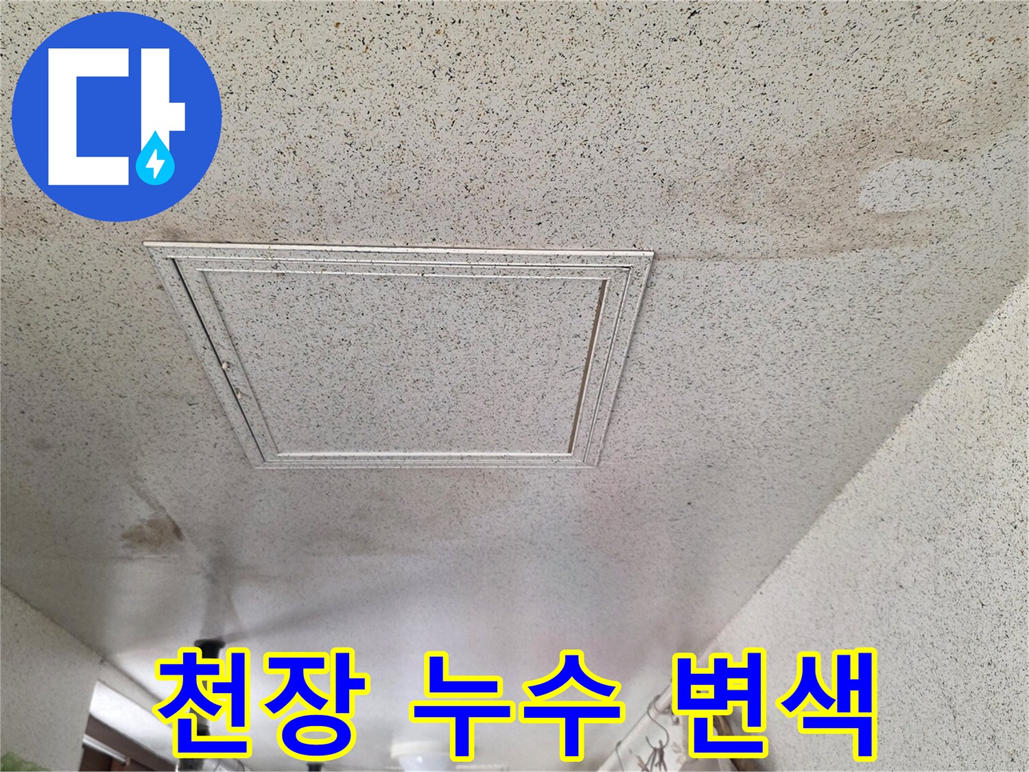 습기로 인해 누렇게 변한 세탁실 천장 마감재 상태