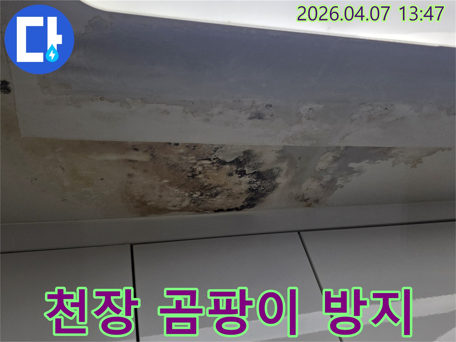 아파트-천장에-발생한-누수로-인한-곰팡이-오염-현장-재발-방지-대책-필요