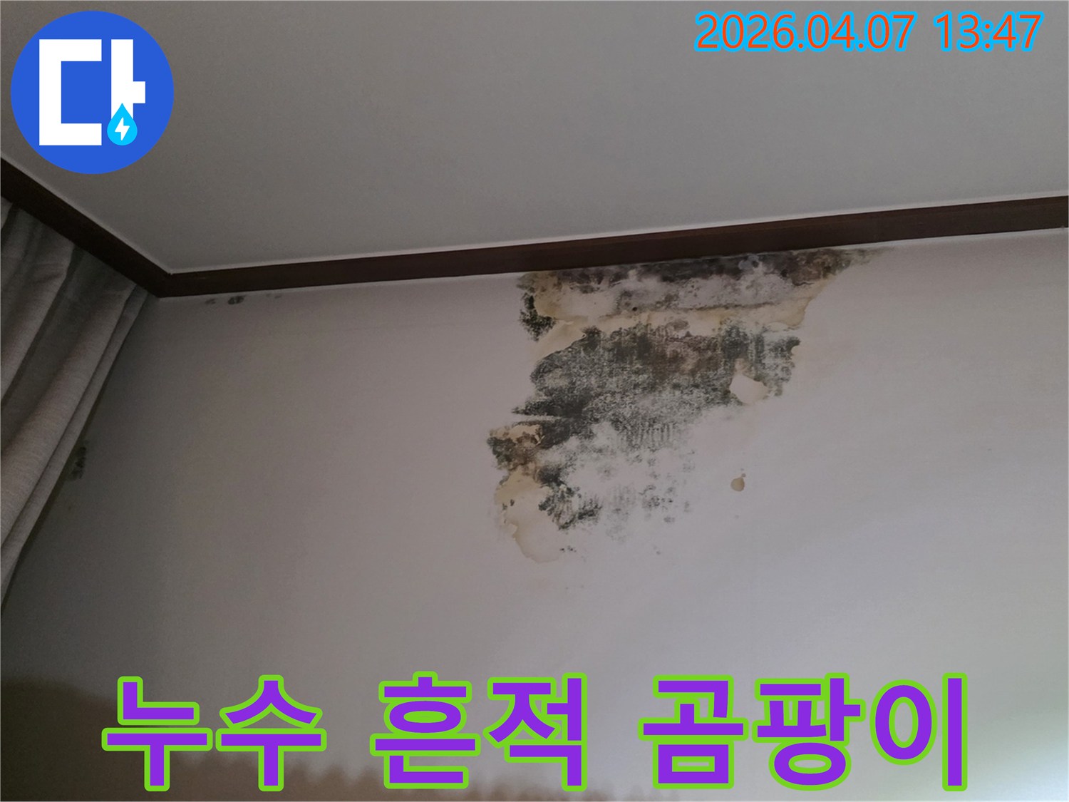 주택 내부-벽면에서 발견된-심각한 물샘과-그로 인한-곰팡이 오염을-보여주는-사진 자료입니다