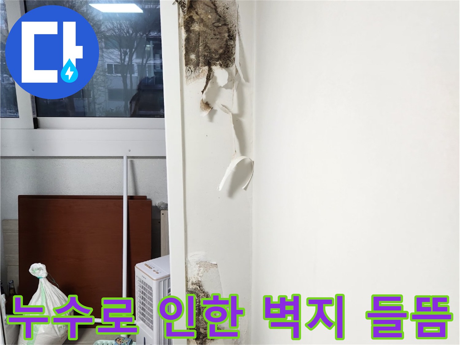 우수관 주변의 심한 물샘 흔적과 곰팡이 오염 부위