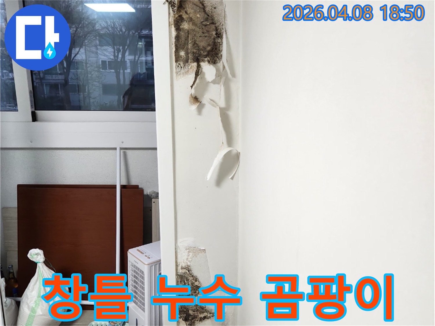창문-옆-벽면에서-발견된-벽지-손상과-함께-심각하게-번식한-곰팡이의-모습을-담은-누수-현장-사진입니다