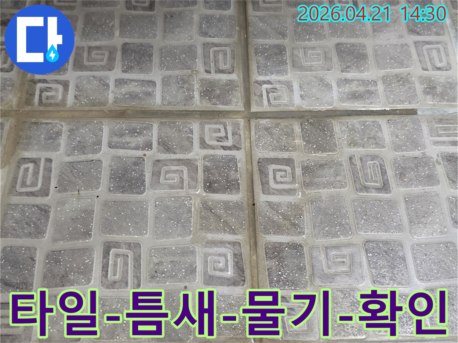 누수-전문가가-주택-베란다-타일-틈새에서-발견한-미세한-물기-흔적을-확대하여-보여주는-사진입니다