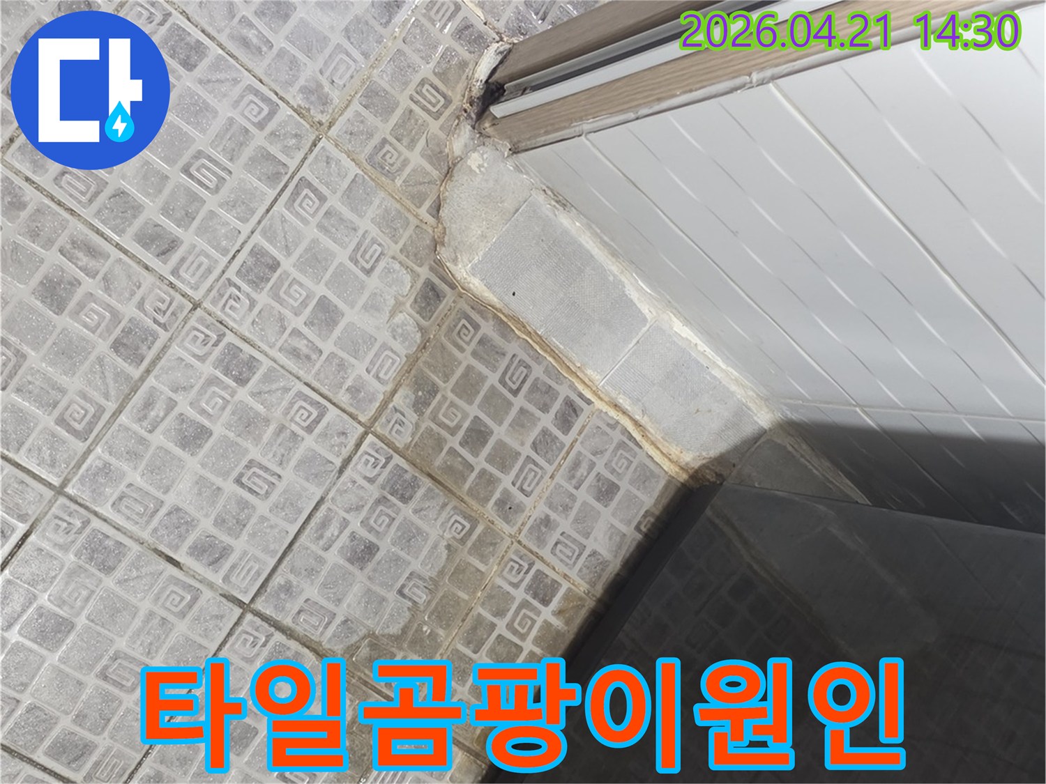 욕실-샤워부스-하단-타일-틈새에-물이-스며들어-곰팡이가-생길-수-있는-현장입니다