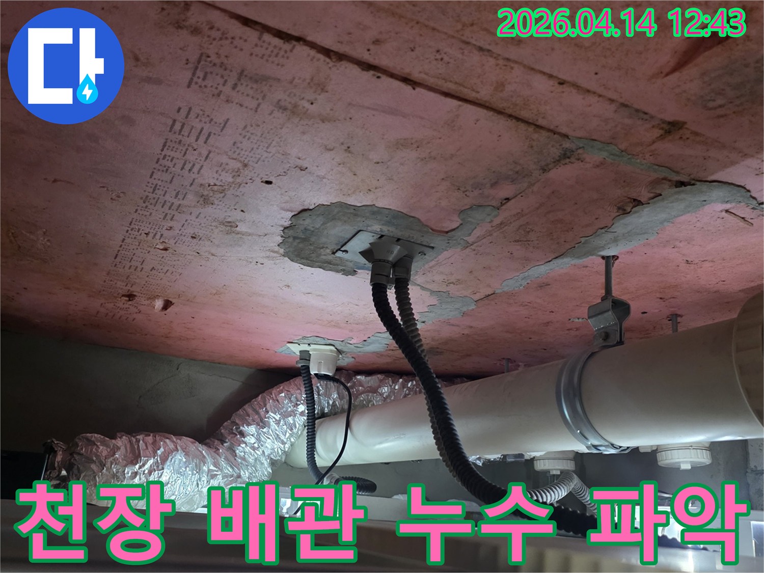 이 이미지는-김포 풍무동 한화유로메트로 아파트의-천장 속 배관의-누수 여부를-파악하기 위해-정밀하게 확인하는-현장을 담고 있습니다