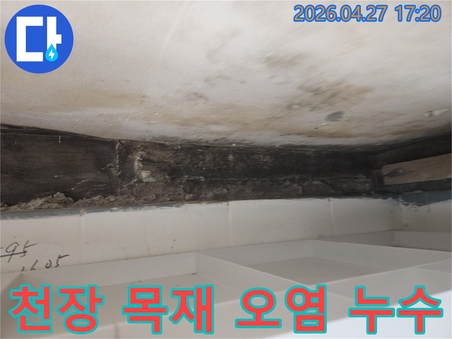 누수로 인해-욕실 천장의-목재 구조물이-심하게 오염되고-곰팡이가-번식한-위생적으로-문제가-있는-상태
