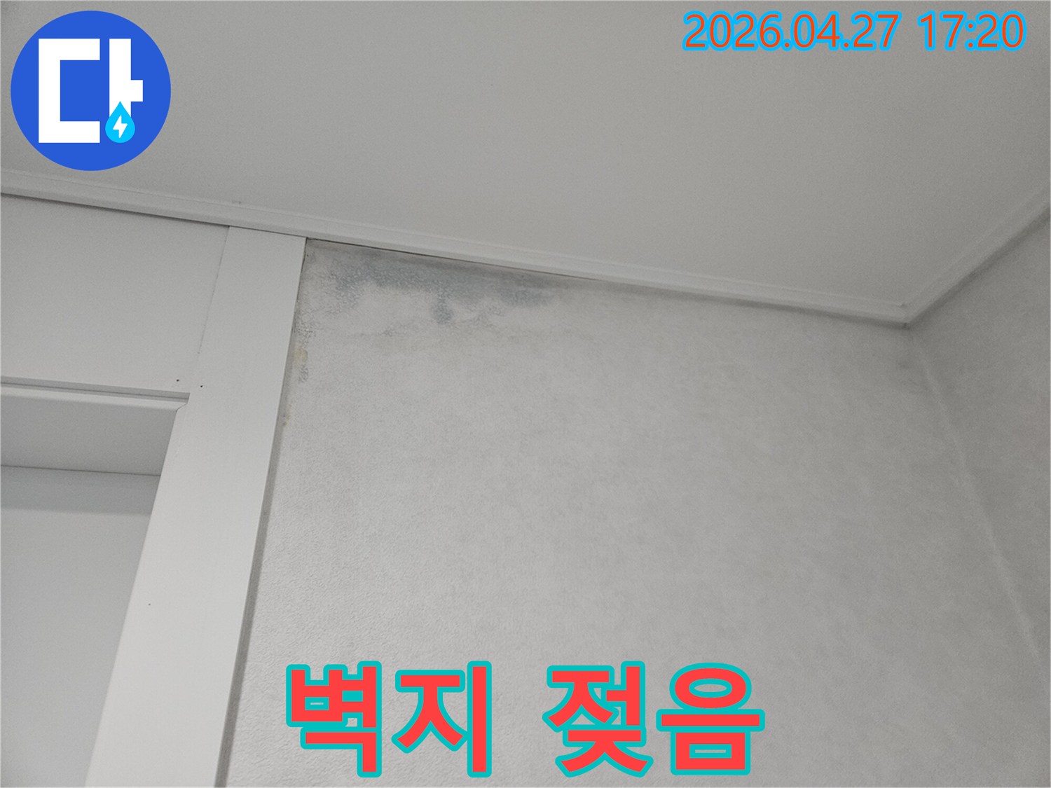 벽지-상단에-물에-젖어-변색된-부분과-곰팡이가-시작된-모습입니다.