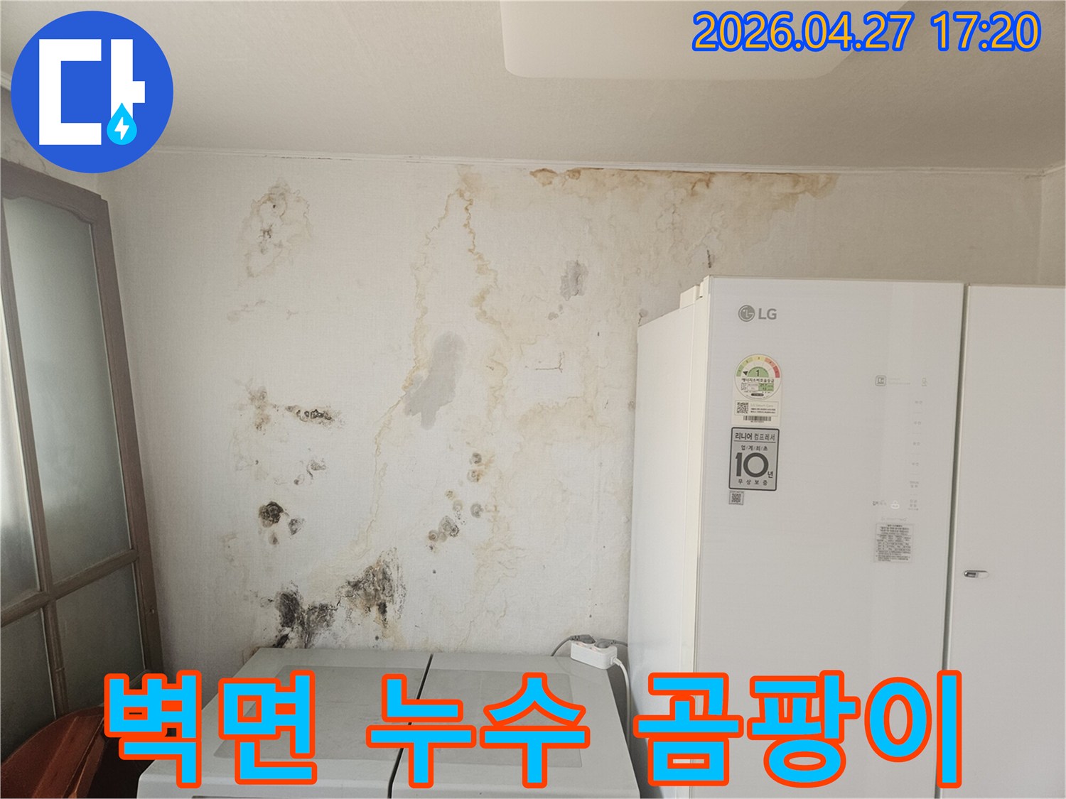 오랜-누수로-인해-벽면이-젖고-곰팡이가-심하게-번식한-현장-사진