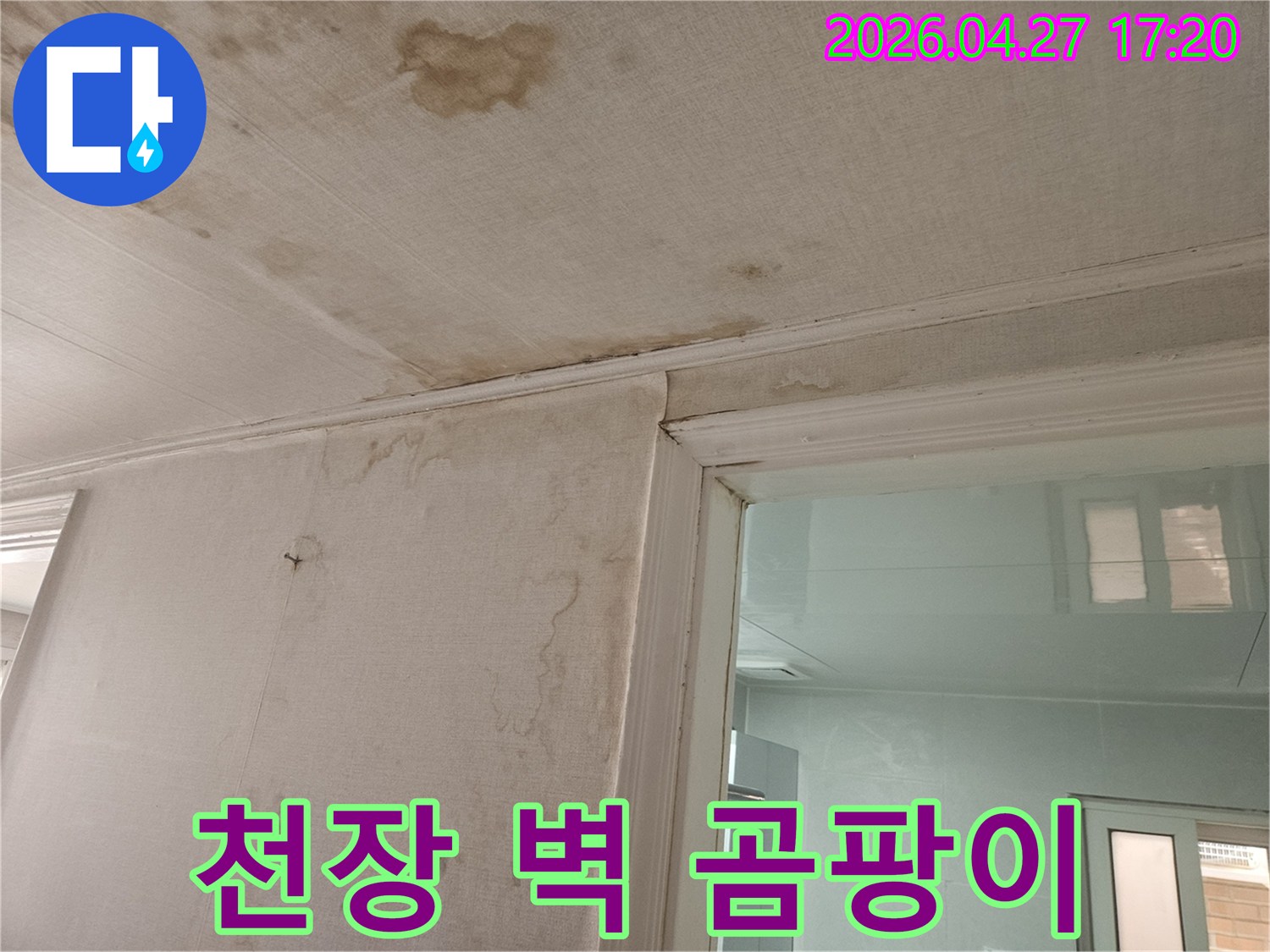 이 이미지는-천장과-벽지에-발생한-누수로-인해-생성된-곰팡이와-물얼룩을-선명하게-보여주며-이는-장기간-누수가-진행되었음을-나타냅니다