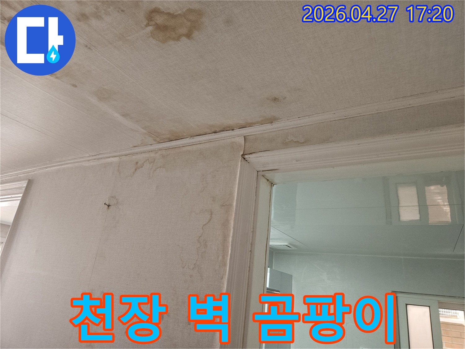 이 이미지는-천장과-벽지에-발생한-누수로-인해-생성된-곰팡이와-물얼룩을-선명하게-보여주며-이는-장기간-누수가-진행되었음을-나타냅니다