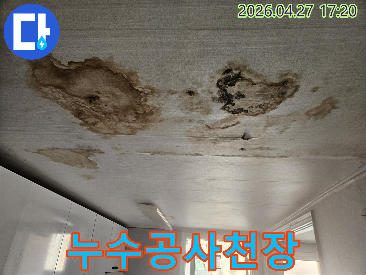 천장 표면에-광범위하게 퍼진 누수 얼룩-정밀 탐지 후-공사 진행이 필요한-심각한 누수 현장