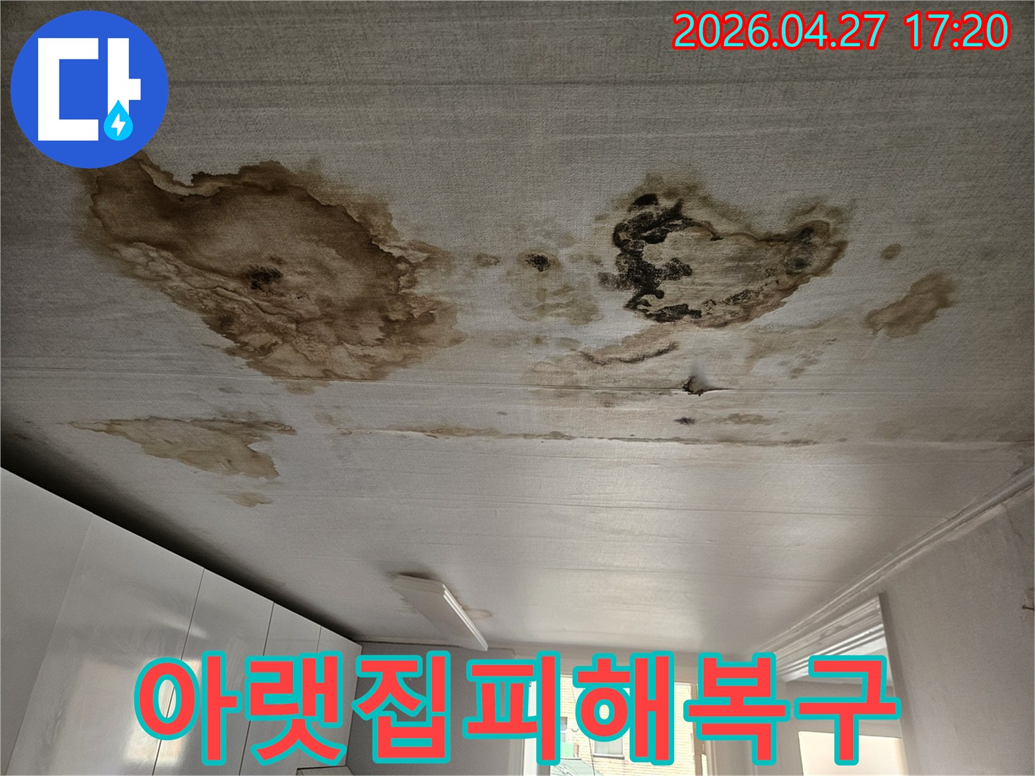 천장 표면에-넓게 퍼진 누수 얼룩과-습기로 인한 변색-아랫집 피해 복구가-시급한 누수 현장