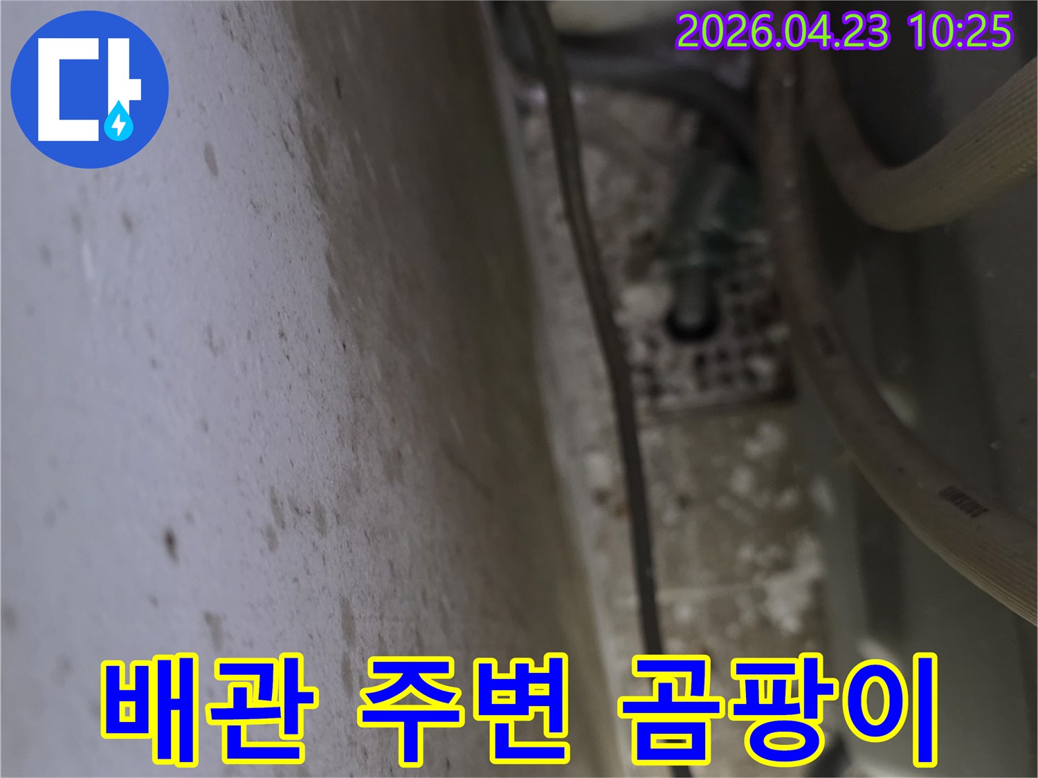 누수-탐지-현장에서-배관-주변에-발생한-심각한-곰팡이와-오염-상태를-정밀하게-확인하는-모습
