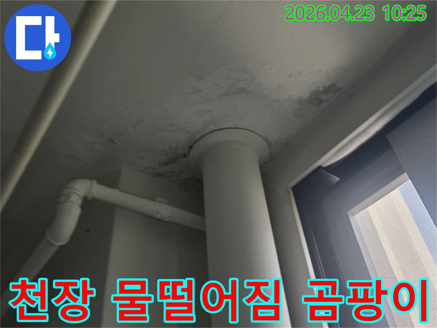 천장 배관 주변에서 물이 떨어져 발생한 곰팡이-오염