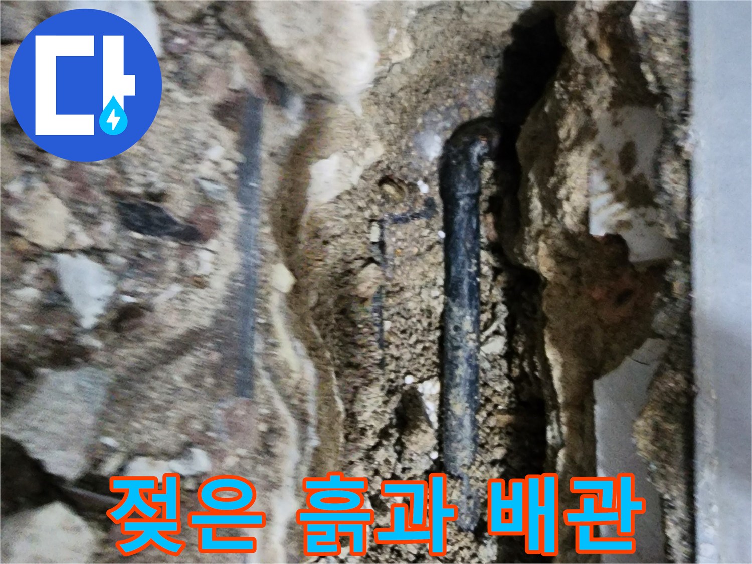 배관 주변의 습한 토양과 드러난 배관 부위