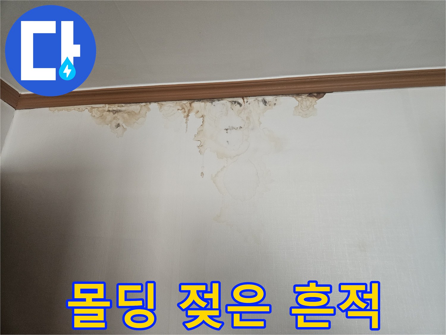 천장-가장자리-물기-스며든-모습