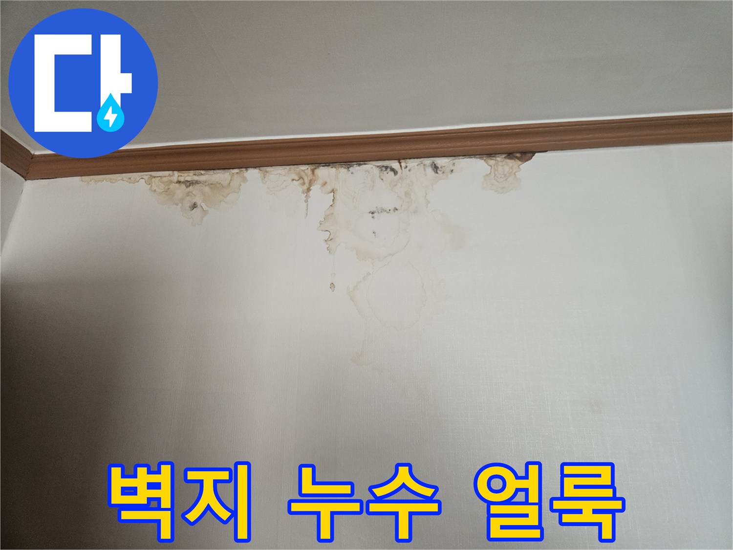 천장-벽면-상단에-발생한-누수-흔적과-얼룩