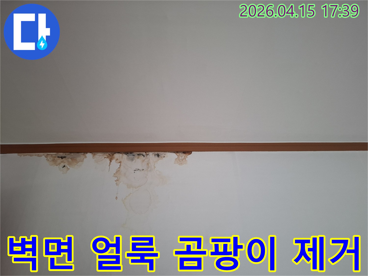 천장과 벽이 만나는 부분에-누수로-인한-심한-얼룩과-검은-곰팡이가-번져있는-현장-모습을-보여주는-사진입니다