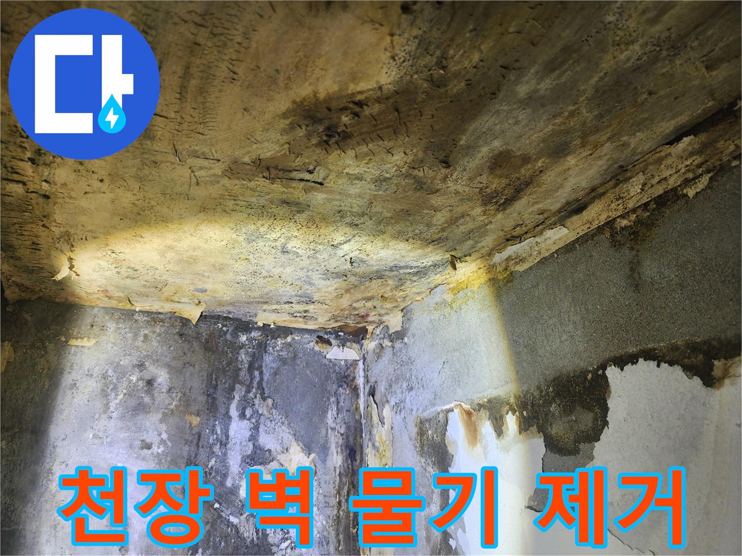 누수로 인해-천장과 벽면이 심하게 젖어-물기가 가득한 현장 모습