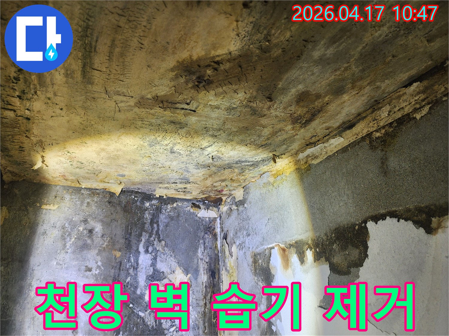 누수로 인해-천장과 벽면이 심하게 젖어-습기가 가득한 현장 모습