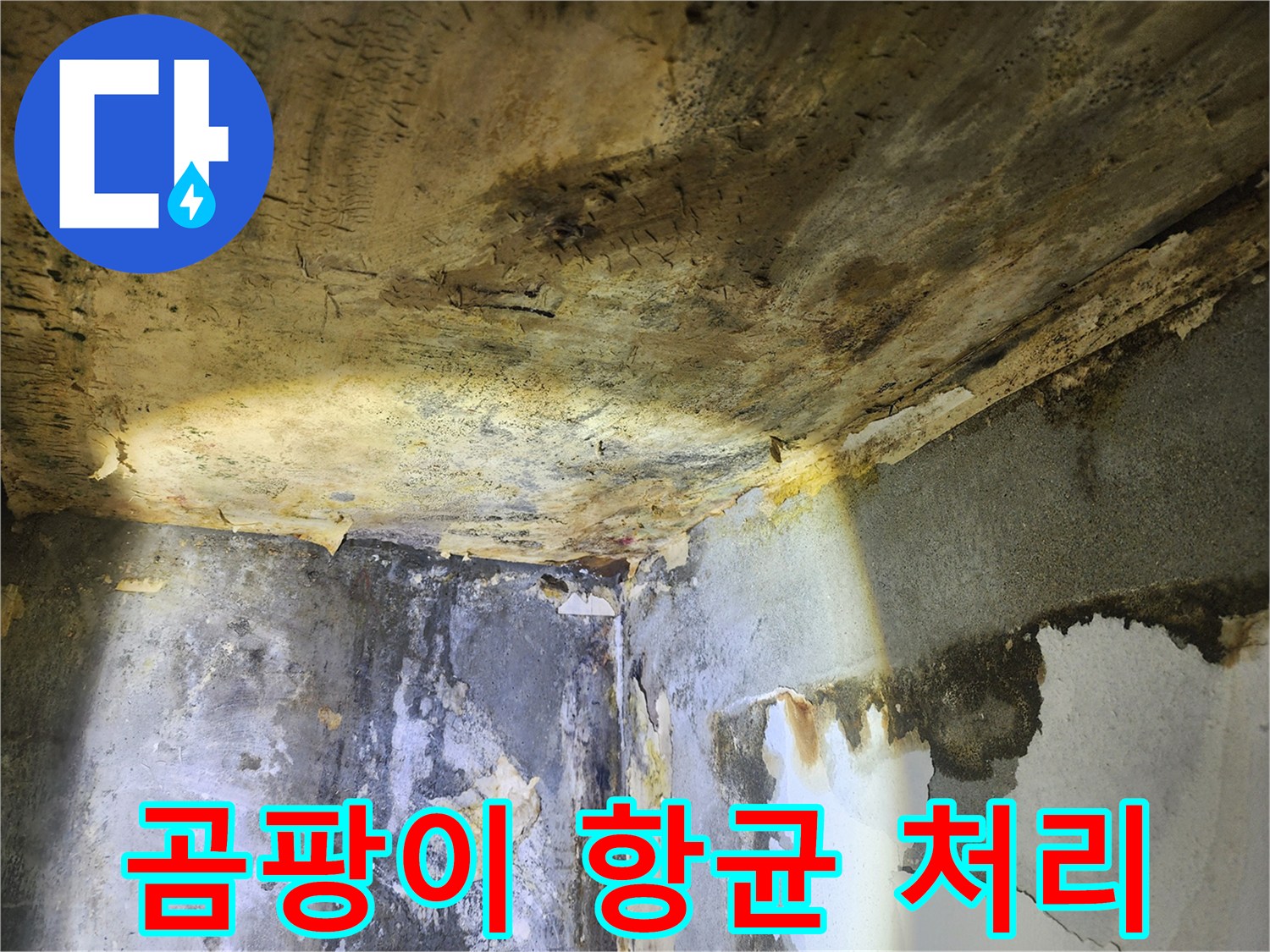 누수로 인해-천장과 벽에 발생한-심각한 곰팡이를-제거하고 항균 처리하는 현장