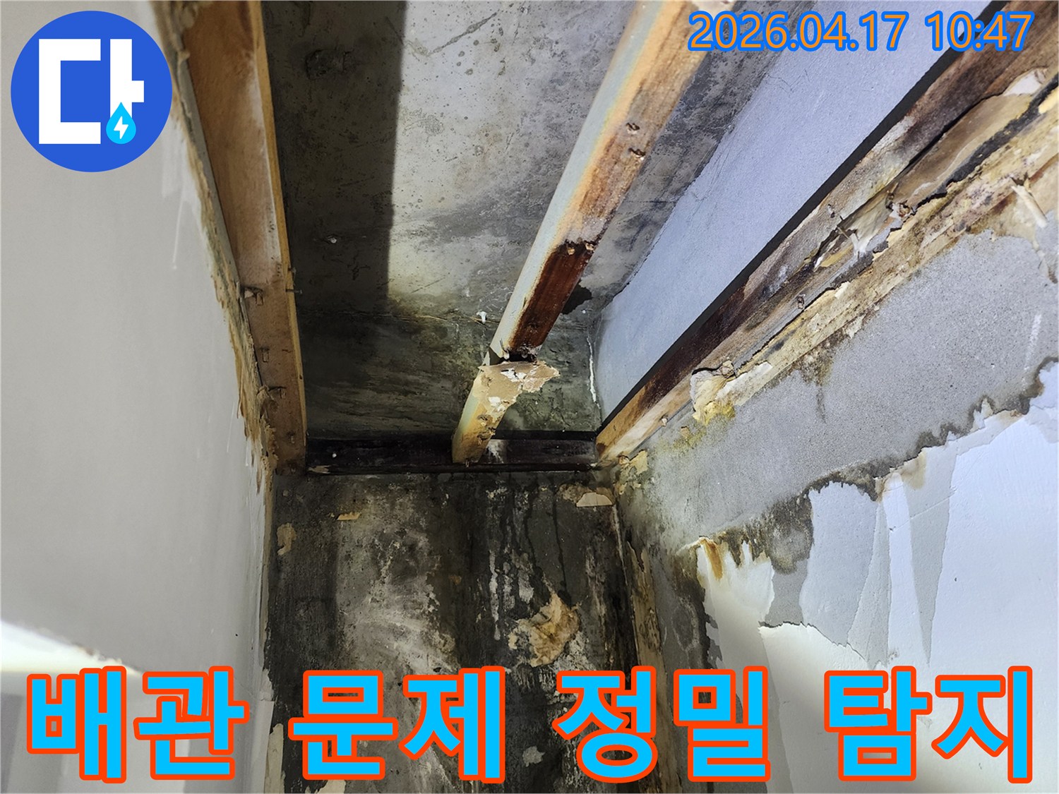 이 이미지는-서울 서초구 잠원동 주택에서 발생한-천장 누수로 인한-심각한 벽면 손상과-목재 부식 현장을 보여주며-배관 문제 정밀 탐지의 중요성을 강조합니다