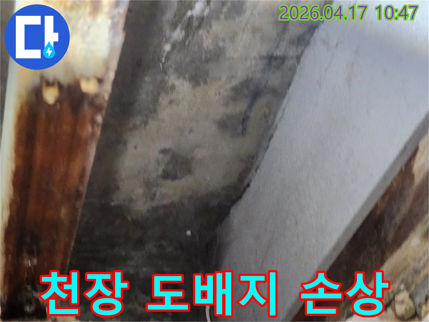 천장 도배지에 누수로 인한 물자국과-곰팡이로 인한 손상 현장을 보여주는 이미지입니다