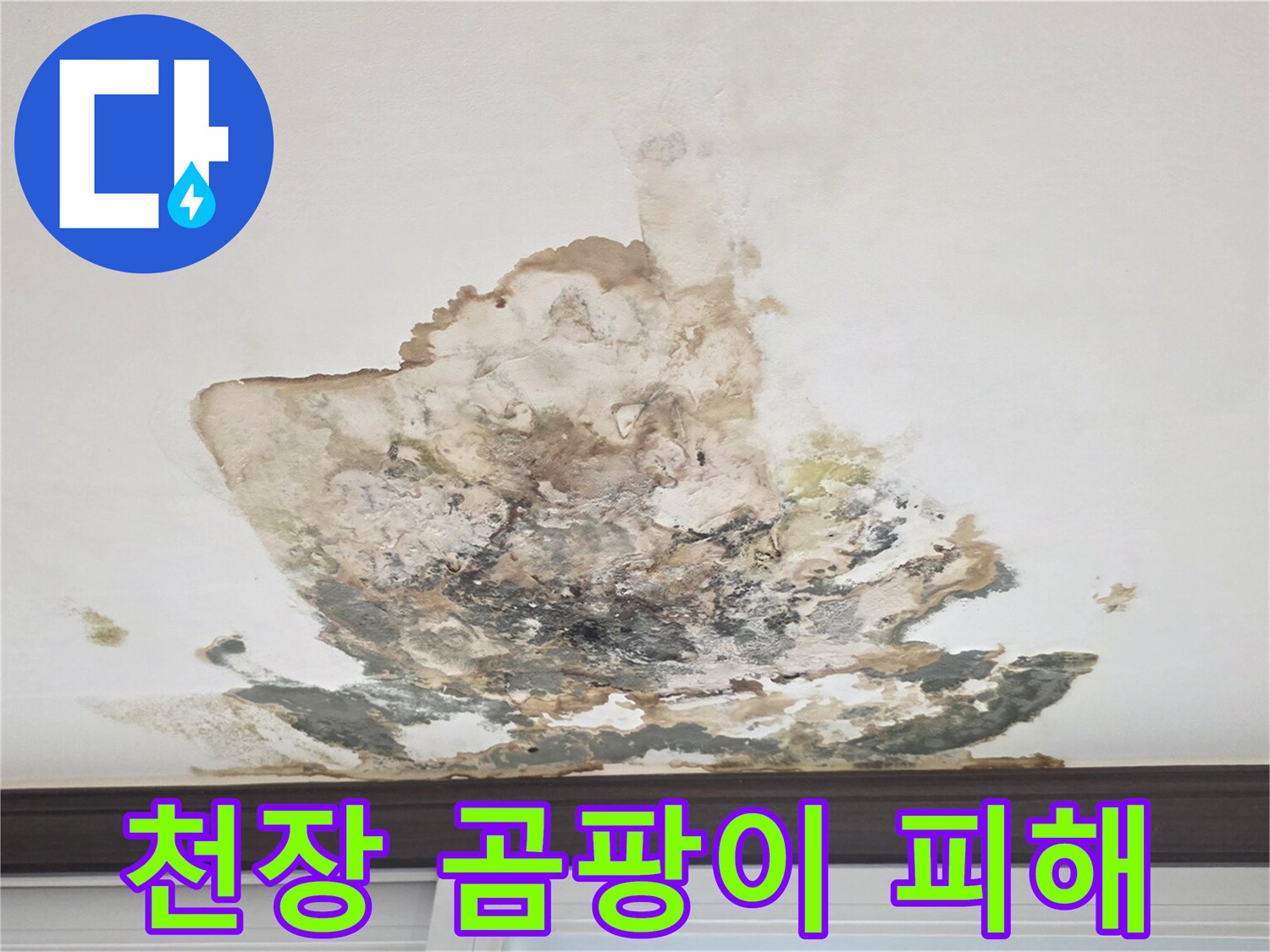 천장 내부 습기로 인한 곰팡이 및 오염 상태