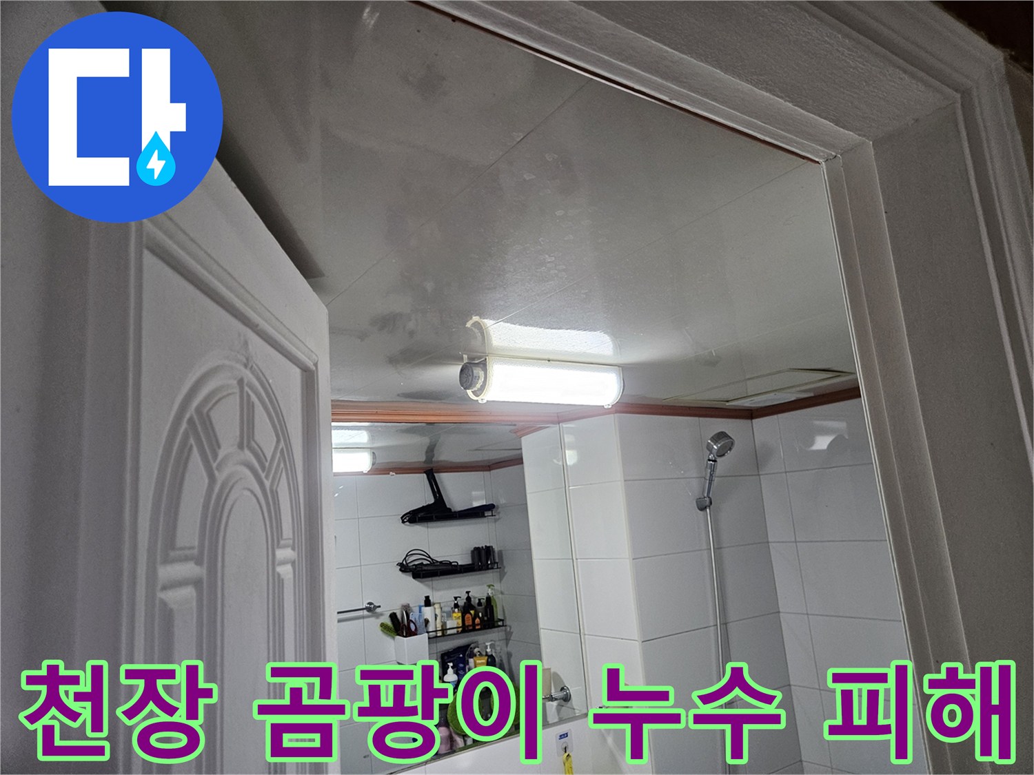 이 이미지는-안양 청호아파트-화장실 천장에-누수로 인해-발생한-심각한 곰팡이와-물자국을-보여줍니다.