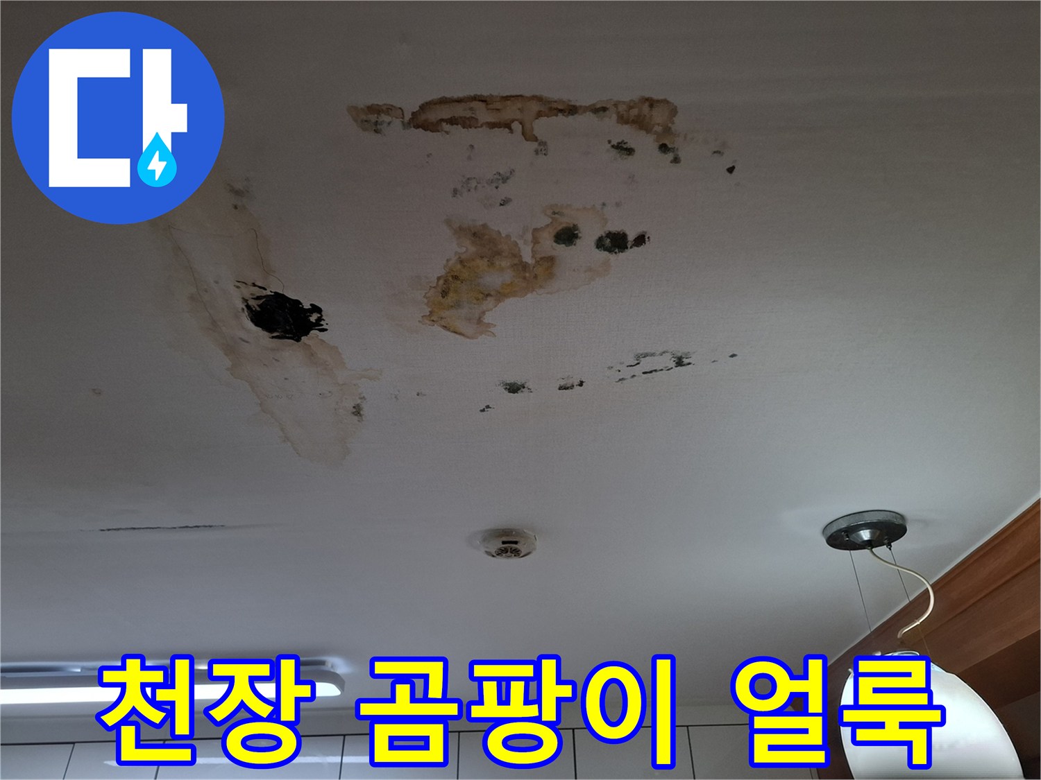 남양주 평내동 아랫집 천장에 발생한 갈색 물자극과 검은 곰팡이 상태