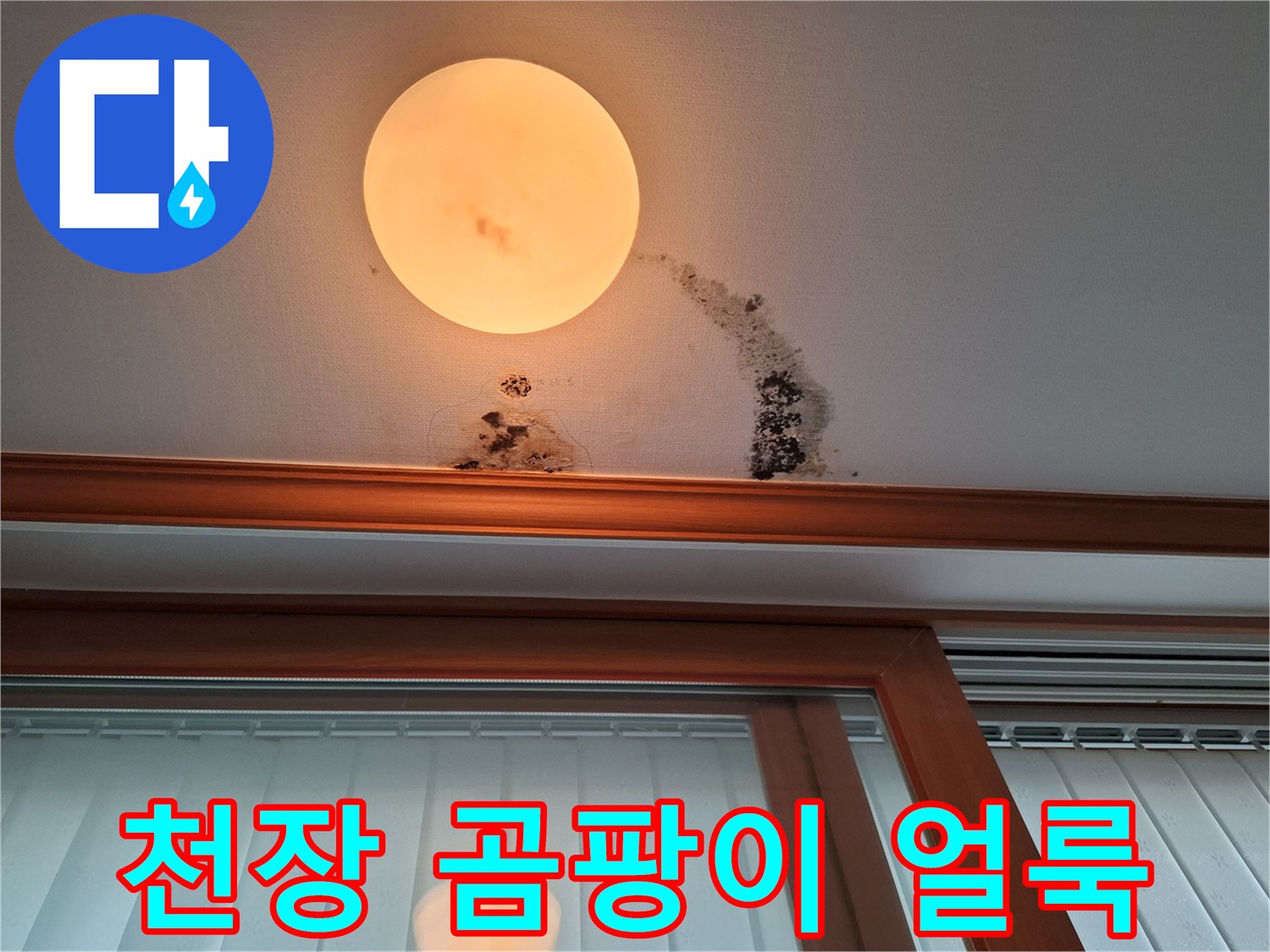 남양주 평내동 천장 벽지의 누수 흔적과 곰팡이 발생 상태