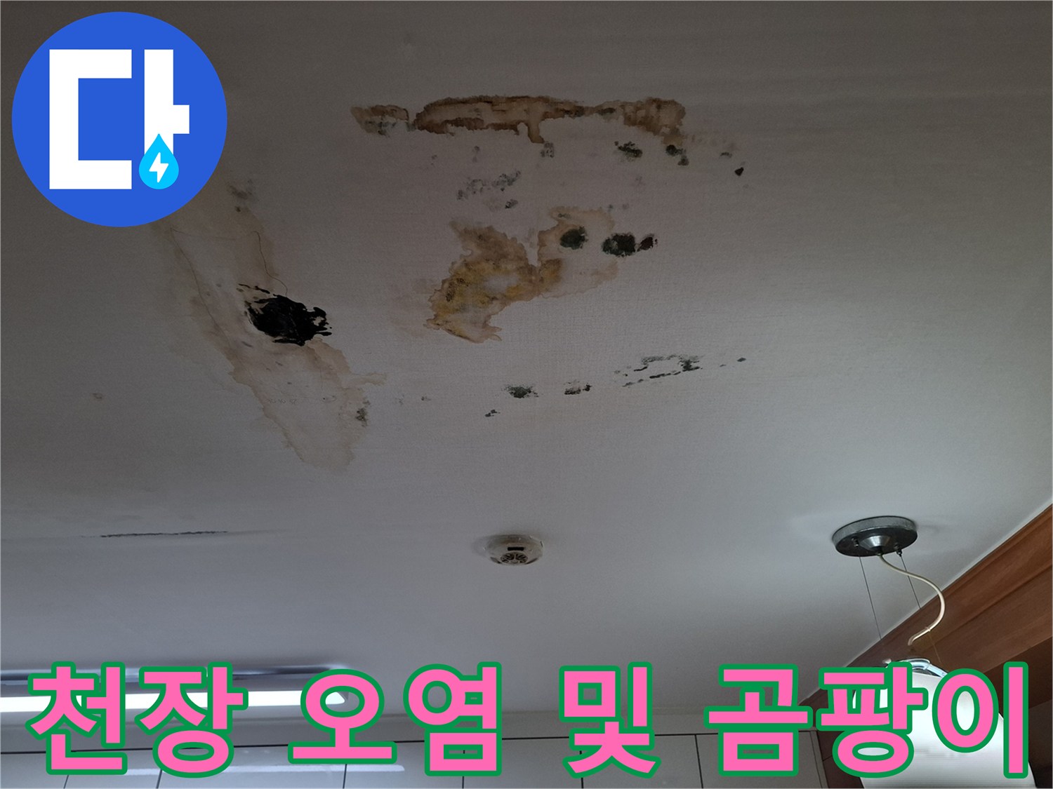 천장 물자국 부위 - 배관 누수로 인한 곰팡이 발생