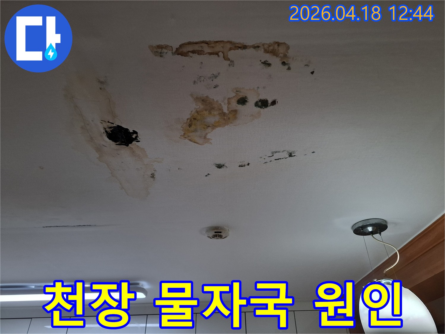천장에 생긴 물자국과 곰팡이-누수 원인을 파악하기 전의 심각한 현장 모습입니다.