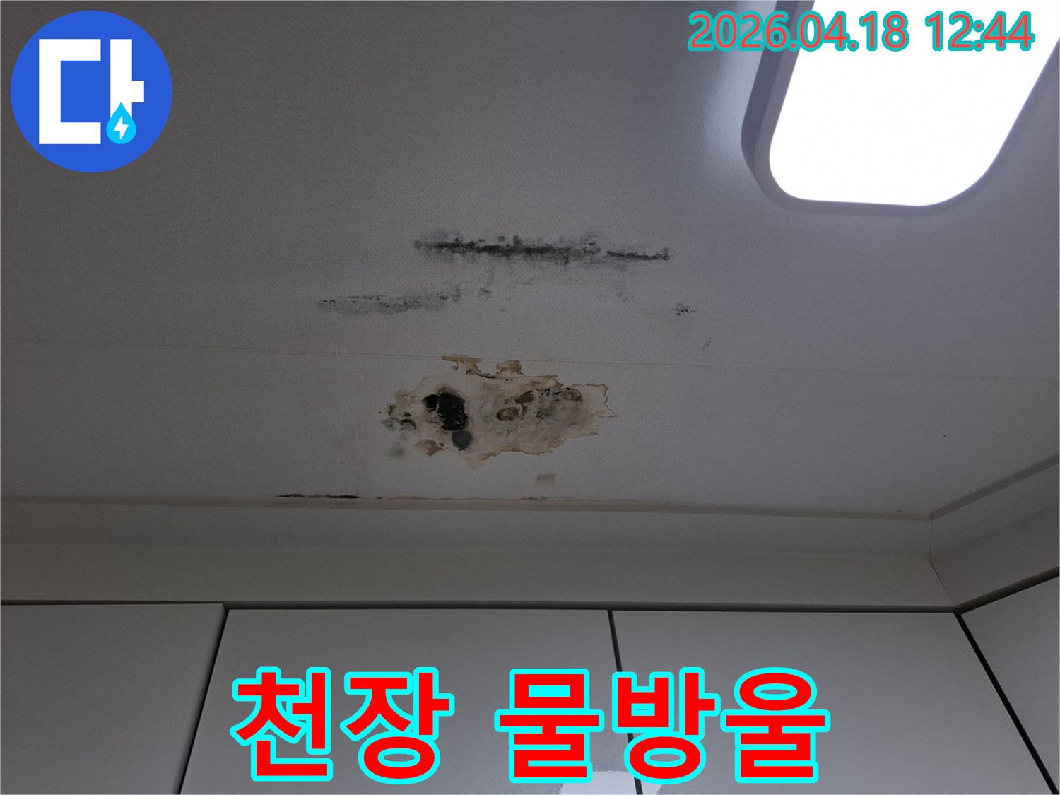 천장에서-물이-새어-마감재가-손상되고-곰팡이가-번식한-아파트-천장-부분
