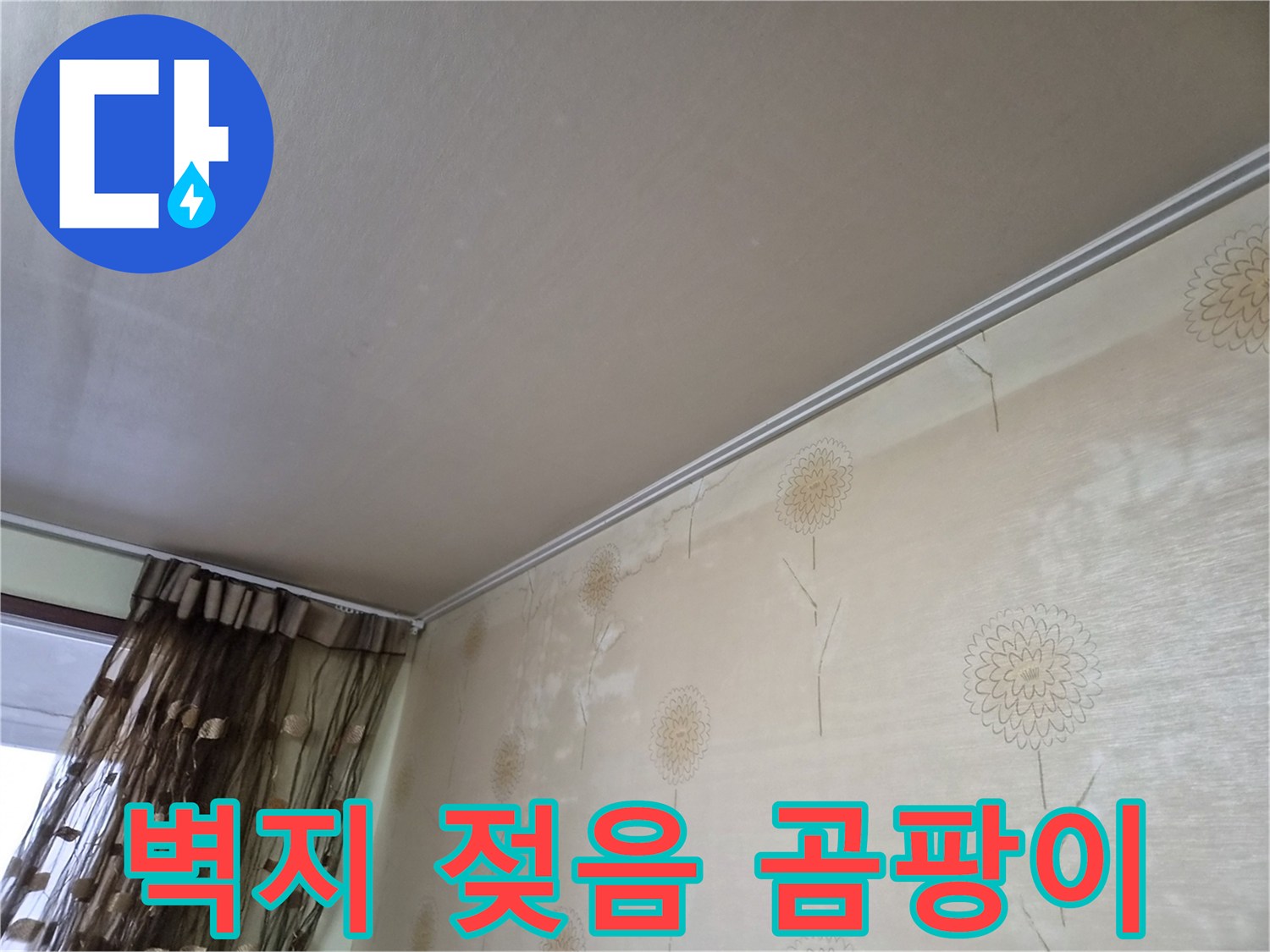 누수로-인해-벽지가-젖어-있고-곰팡이가-생기기-시작하는-모습을-보여주는-사진