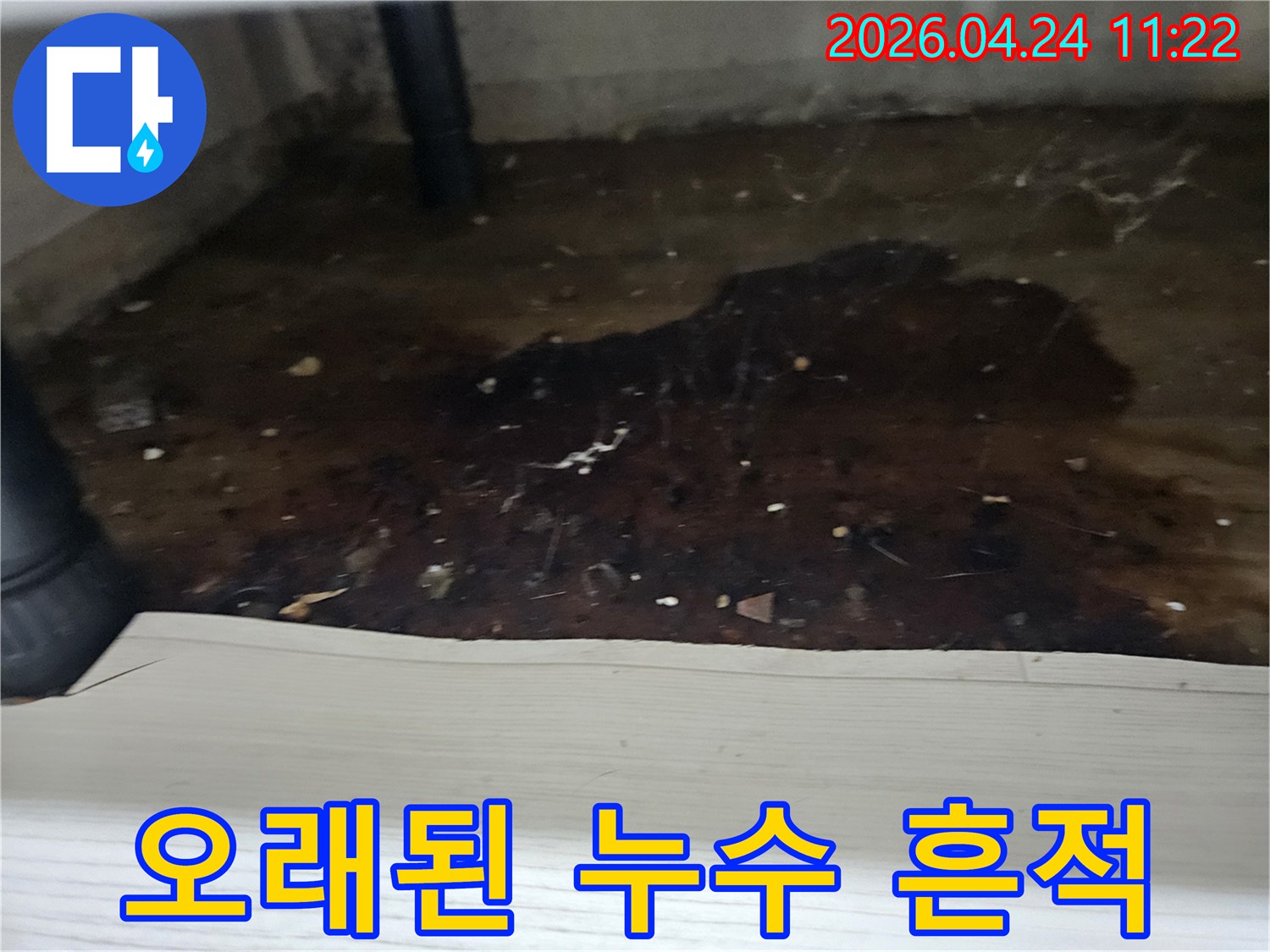 습기와-오염물질로-뒤덮인-누수-현장의-바닥-상태를-자세히-보여주는-이미지