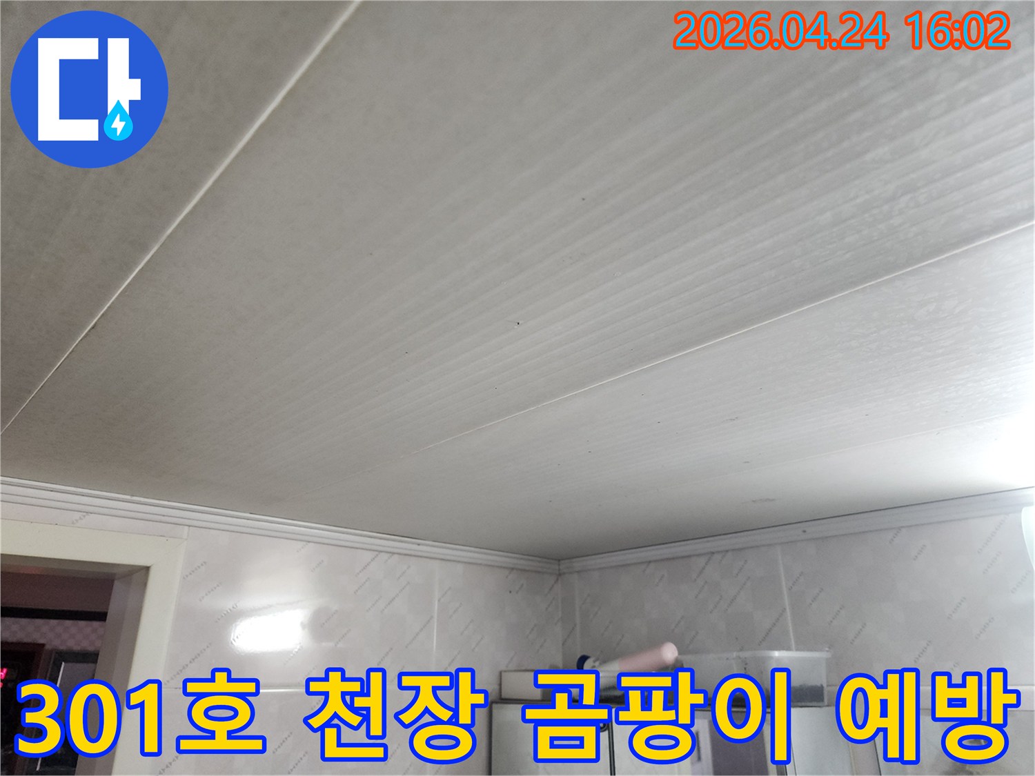 301호-천장-누수로-인한-물자국과-곰팡이-발생을-예방하기-위한-점검-사진