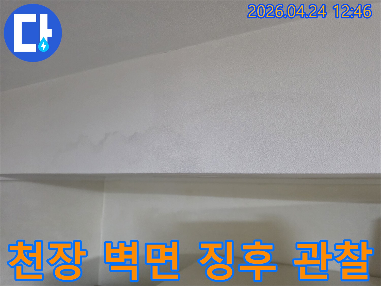 천장과-벽면-경계에-나타난-누수-흔적을-면밀히-관찰하며-진단을-시작하는-사진