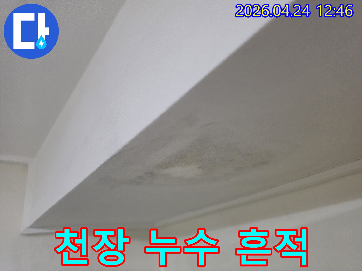천장에 선명하게 나타난 누수 흔적과 곰팡이-전문 엔지니어가 정밀 진단을 위해 촬영한 현장 사진
