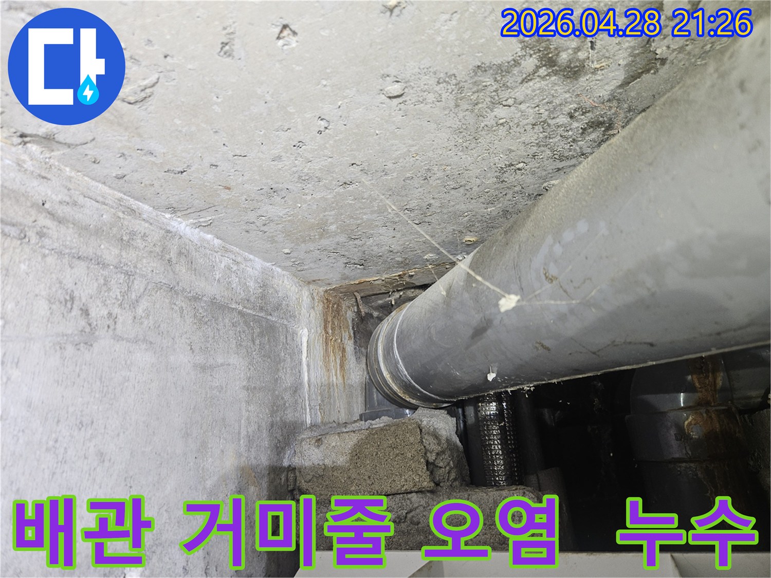 배관-주변에-거미줄과-오염이-발생한-누수-현장을-촬영한-사진입니다