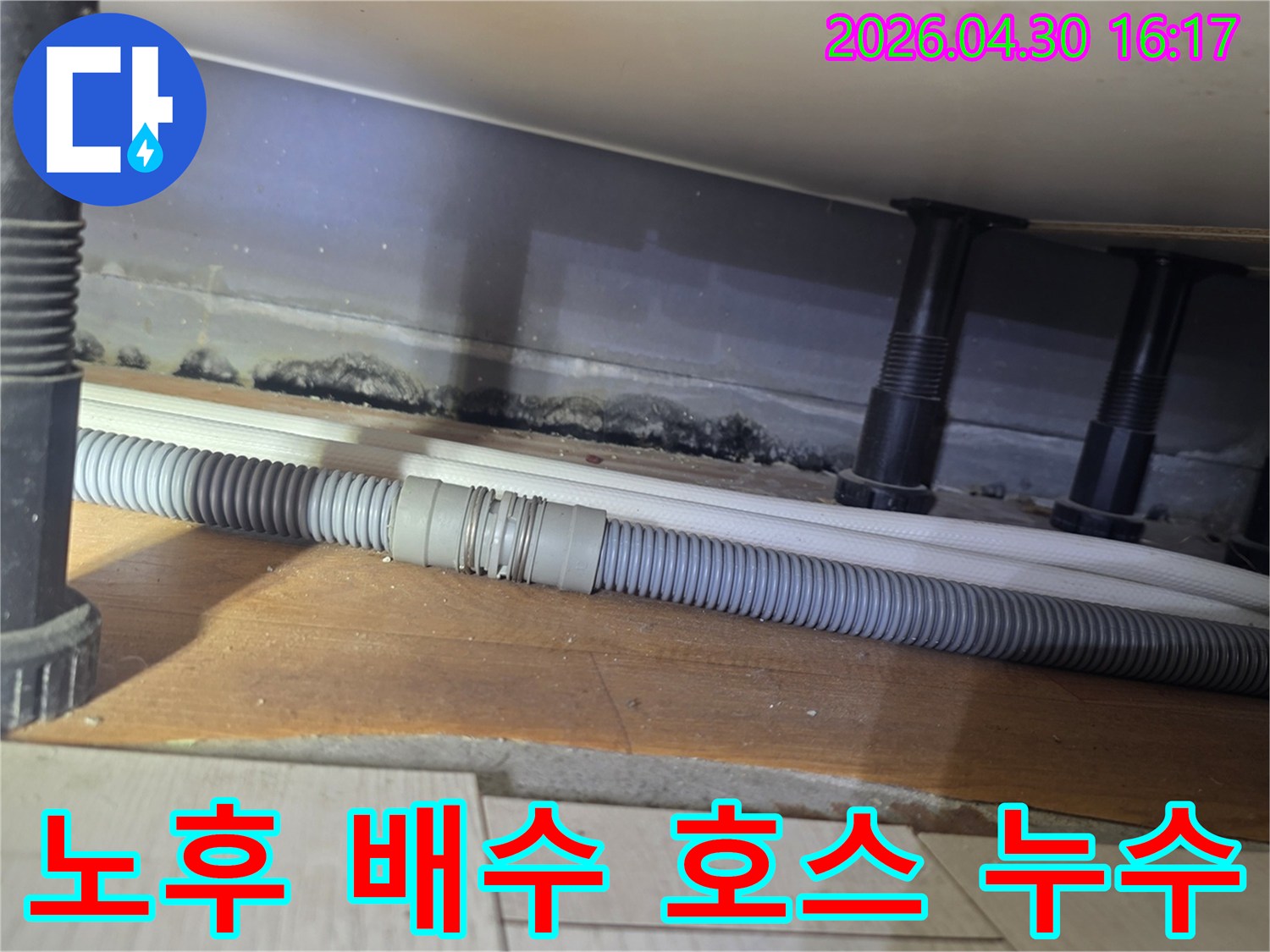 노후화된 욕실-배수 호스 연결 부위에서-발생한 미세 누수로 인한-벽면 곰팡이와 오염
